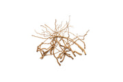 Detail Roots (Pack of 20)