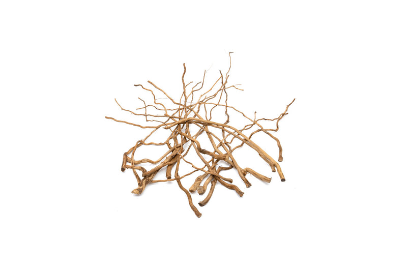 Detail Roots (Pack of 20)