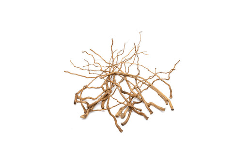 Detail Roots (Pack of 20)