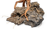Detail Roots (Pack of 20)