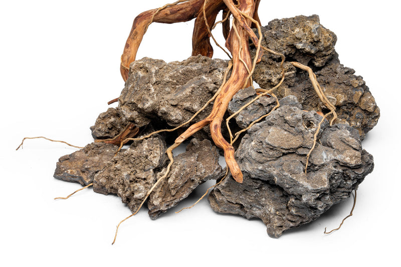 Detail Roots (Pack of 20)