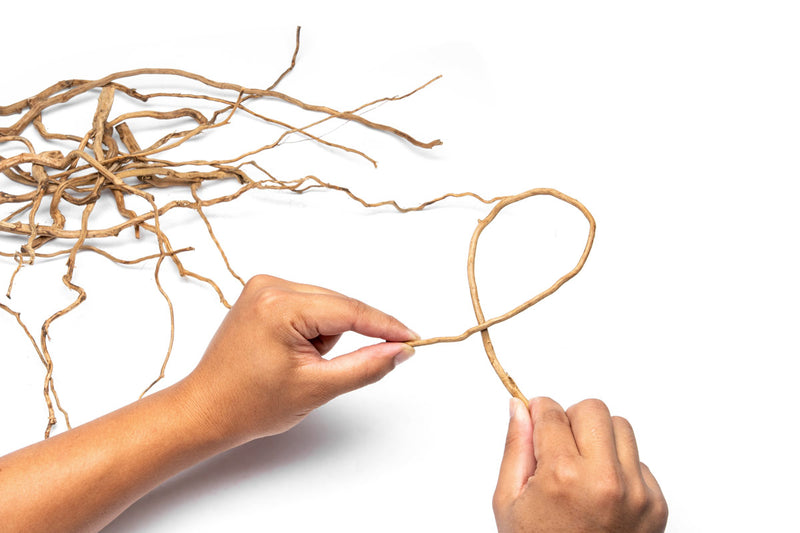 Detail Roots (Pack of 20)