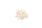 Dr. Tank - #9 Planarian Zero Water Conditioners - Buce Plant