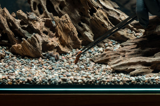 Dr. Tank - Vivid Stick