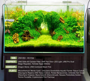 UNS 60U - 20.5 Gallon Ultra Clear Rimless Aquarium Rimless Tanks - Buce Plant