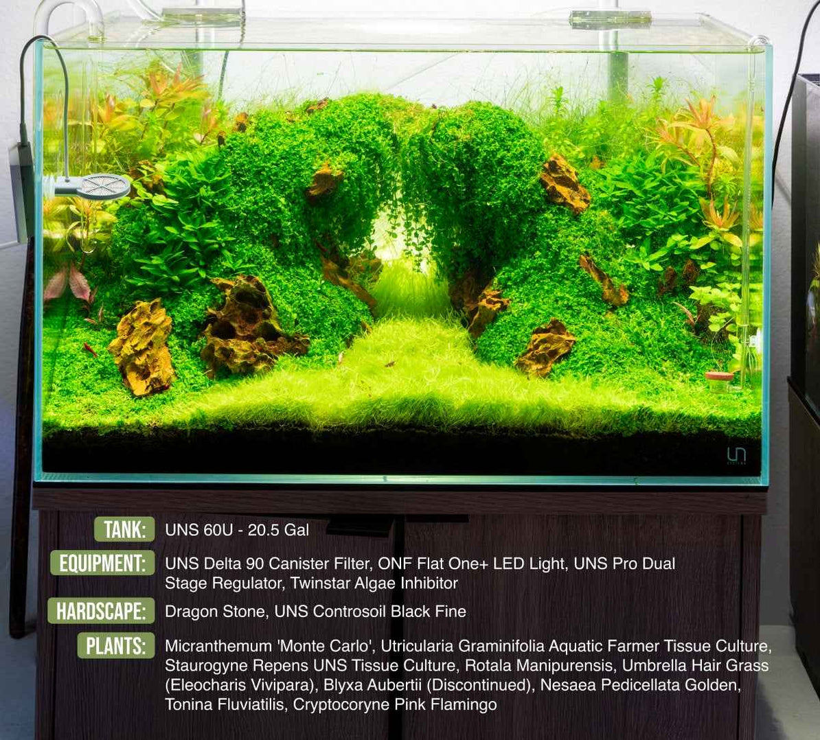 UNS 60U - 20.5 Gallon Ultra Clear Rimless Aquarium — Buce Plant