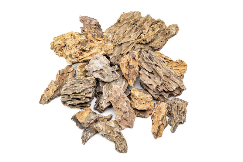 Dragon Stone (Ohko) Stone - Buce Plant