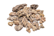 Dragon Stone (Ohko) Stone - Buce Plant