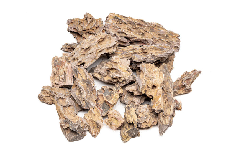 Dragon Stone (Ohko) Stone - Buce Plant