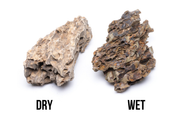 Dragon Stone (Ohko) Stone - Buce Plant