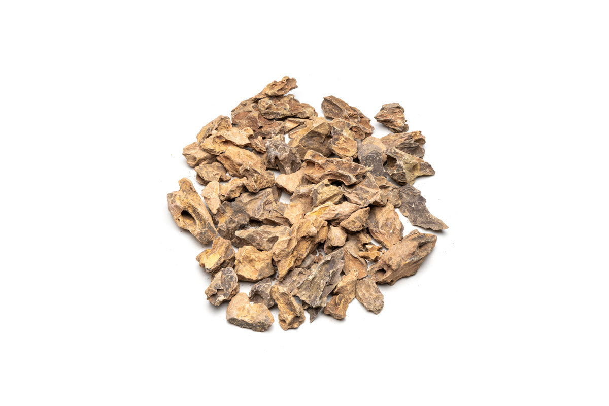 Dragon Stone (Ohko) Accent Stones — Buce Plant