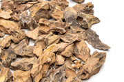 Dragon Stone (Ohko) Accent Stones Stone - Buce Plant