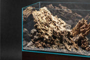 Dragon Wood Driftwood - Buce Plant