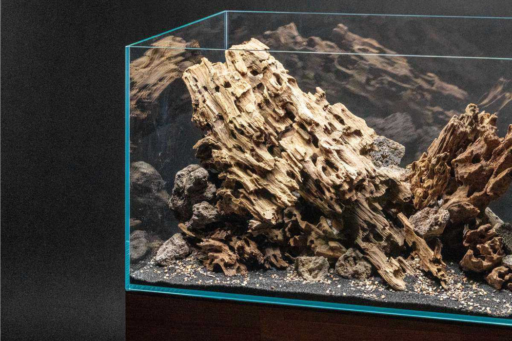 Natural driftwood piece shaped like a dragon, crafted by UNSHARDSCAPE, showcasing intricate wood grain and detailed dragon form.