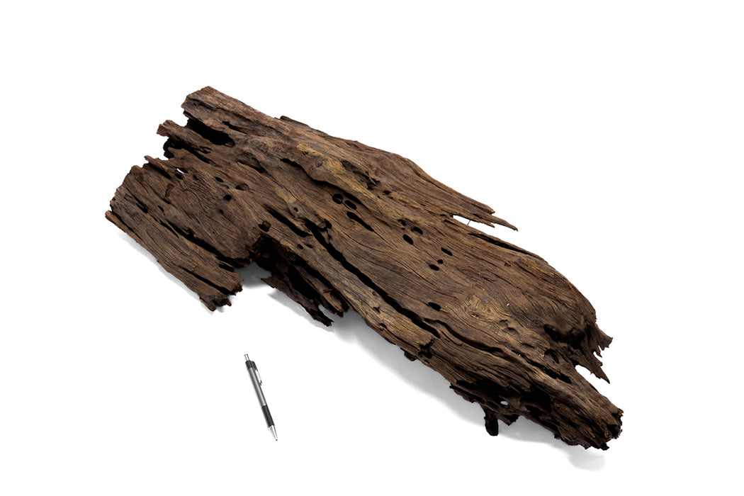 Driftwood Dragon Wood Showpiece by UNSHARDSCAPE, intricately carved wooden dragon sculpture on natural driftwood base.