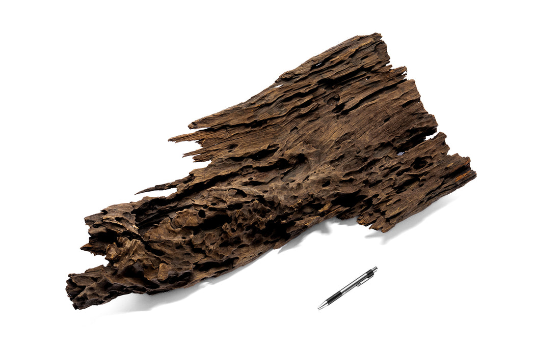 Decorative dragon-shaped driftwood showpiece by UNSHARDSCAPE, showcasing intricate wood craftsmanship and natural wood texture.