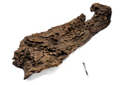Driftwood Dragon Wood Showpiece DW03 by UNSHARDSCAPE, detailed carved wooden sculpture resembling a dragon.