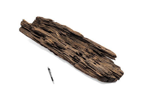 Dragon Wood Showpiece (DW04)