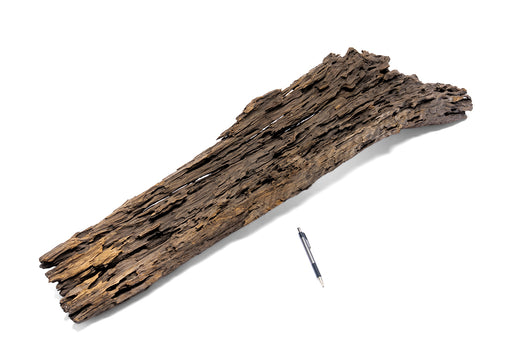 Dragon Wood Showpiece (DW05)