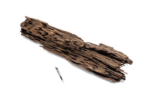 Dragon Wood Showpiece (DW06)