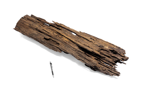 Dragon Wood Showpiece (DW06)