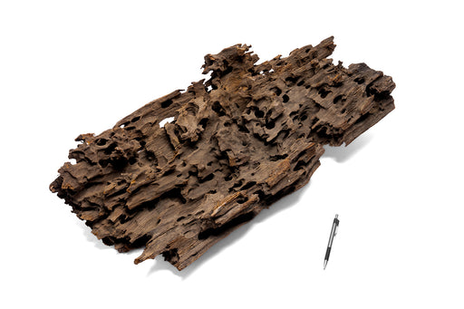 Dragon Wood Showpiece (DW07)