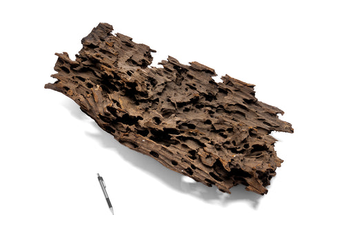 Dragon Wood Showpiece (DW07)