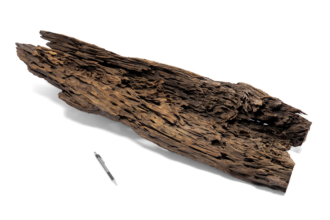 Dragon Wood Showpiece (DW08)