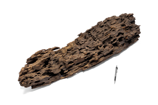 Dragon Wood Showpiece (DW09)