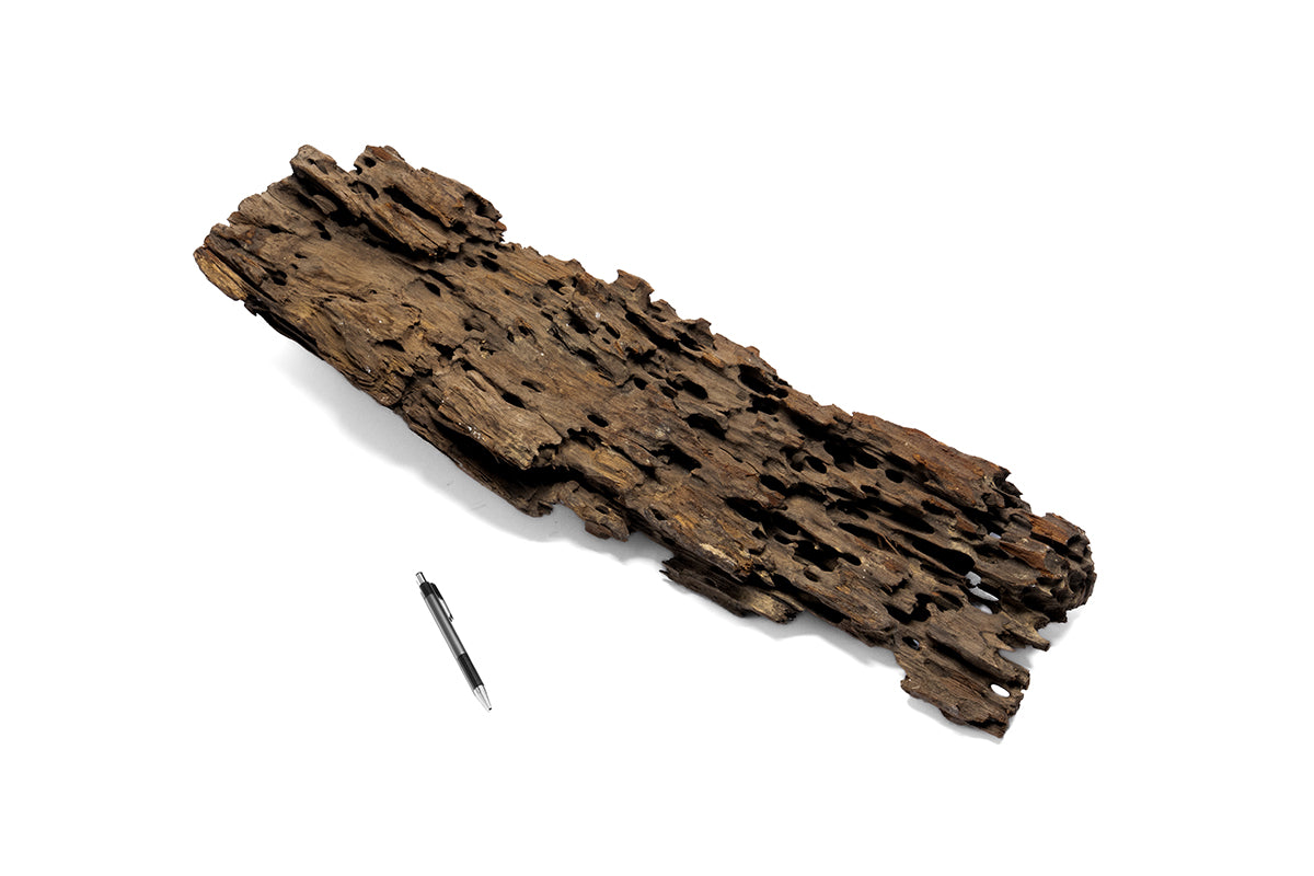 WYSIWYG Driftwood