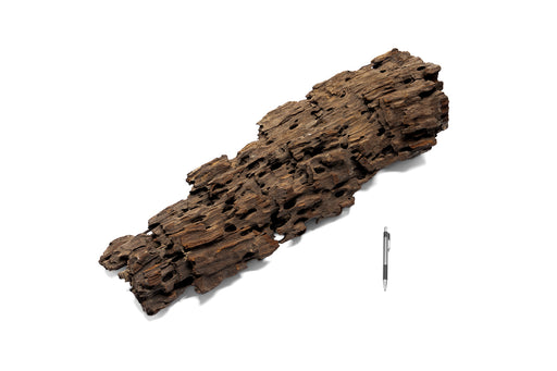 Dragon Wood Showpiece (DW10)