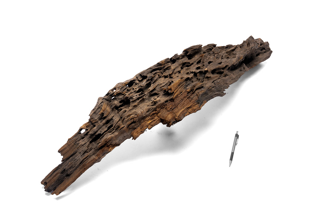 Driftwood dragon wood showpiece by UNSHARDSCAPE, detailed handcrafted sculpture with intricate dragon design on natural wood.