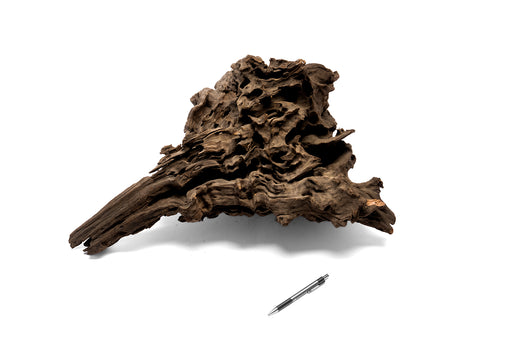 Dragon Wood Showpiece (DW12)