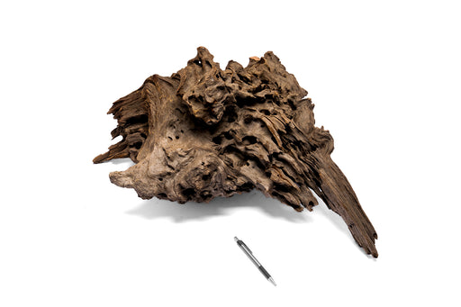 Dragon Wood Showpiece (DW12)