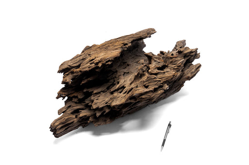 Dragon Wood Showpiece (DW13)