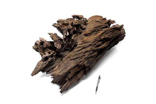 Dragon Wood Showpiece (DW13)