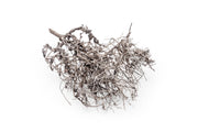 Natural driftwood tree branches from UNSHARDSCAPE, showcasing twisted and textured wood pieces suitable for decor or craft projects.