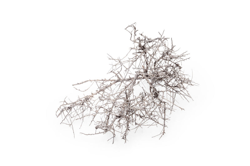 Natural driftwood tree branches by UNSHARDSCAPE, showcasing twisted, weathered wood perfect for natural decor or artistic arrangements.