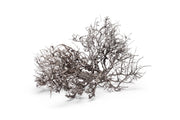 Natural driftwood tree branches from UNSHARDSCAPE, showcasing twisted, weathered wood ideal for rustic decor or craft projects.