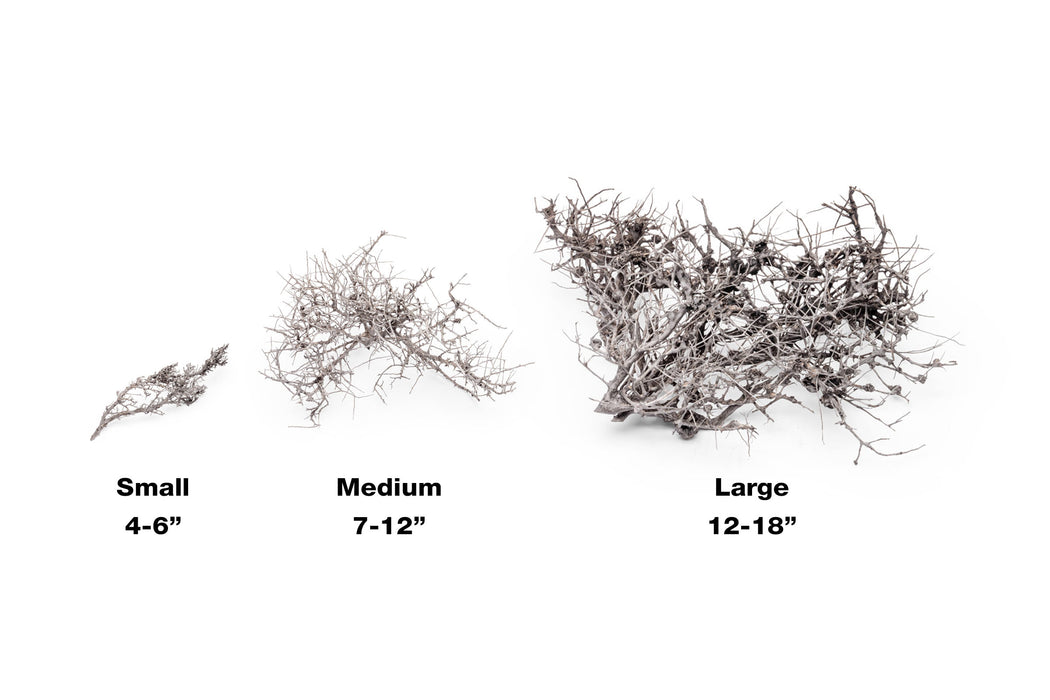 Driftwood Tree Branches