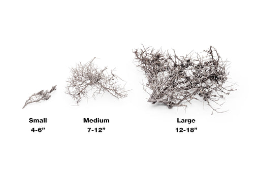 Driftwood Tree Branches