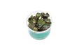 Echinodorus Small Bear Tissue Culture