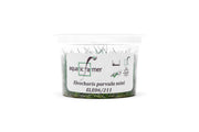 Eleocharis Parvula 'Mini' Aquatic Farmer Tissue Culture Aquatic Plant - Buce Plant