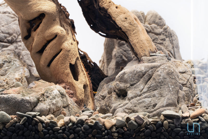Elephant Skin Stone by UNSHARDSCAPE showing textured, patterned natural stone with elephant skin-like appearance.