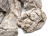 Assorted Rock Box Hardscape - Buce Plant