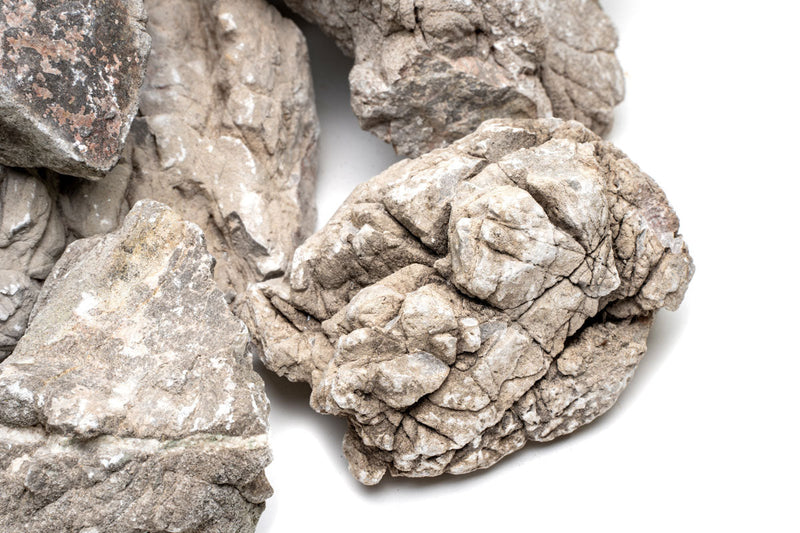 Assorted Rock Box Hardscape - Buce Plant