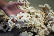 Extreme Holey Rock