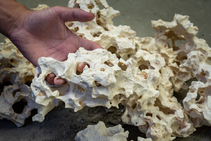 Extreme Holey Rock