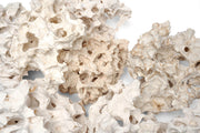 Extreme Holey Rock