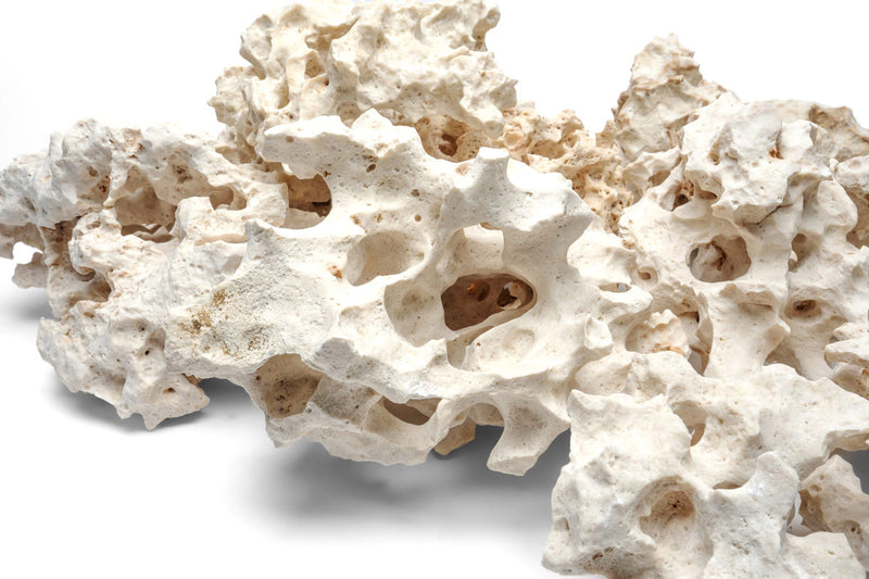 Extreme Holey Rock